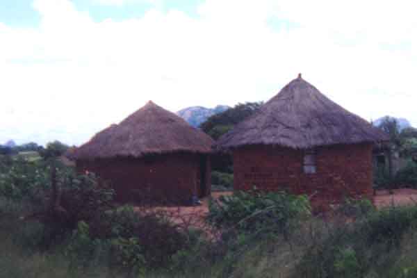 Native huts.